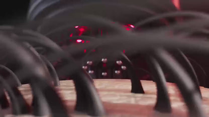 WANDA: 3-in- Hair Renewal w/ Red light Therapy